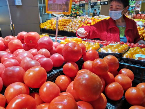 深圳強化食用農(nóng)產(chǎn)品質(zhì)量安全監(jiān)管 批發(fā)市場月快檢900次，筑牢全鏈條安全防線
